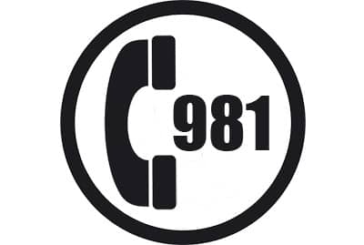 prefijo 981
